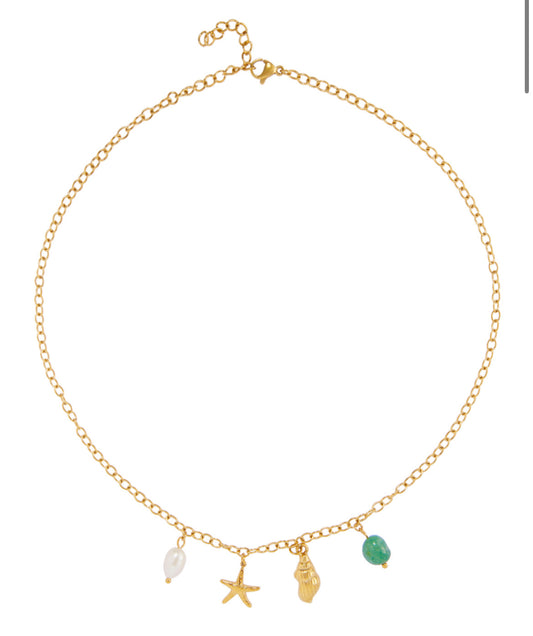 COLLAR PARADISE