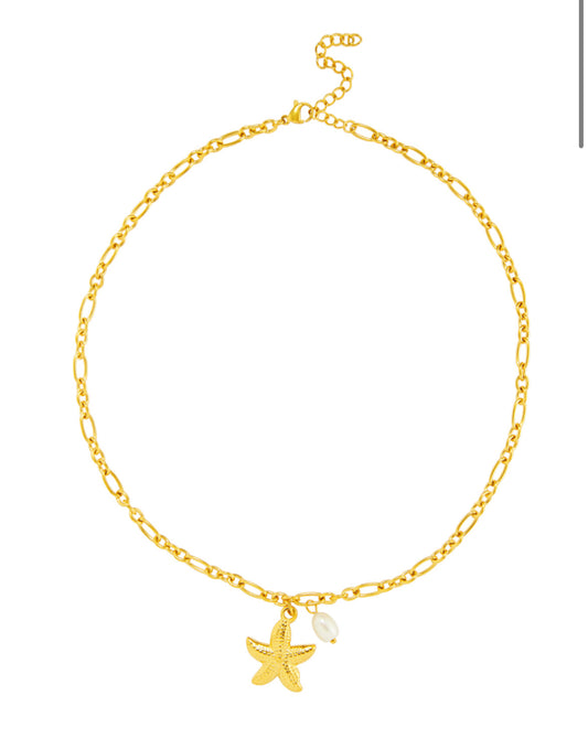 COLLAR STAR
